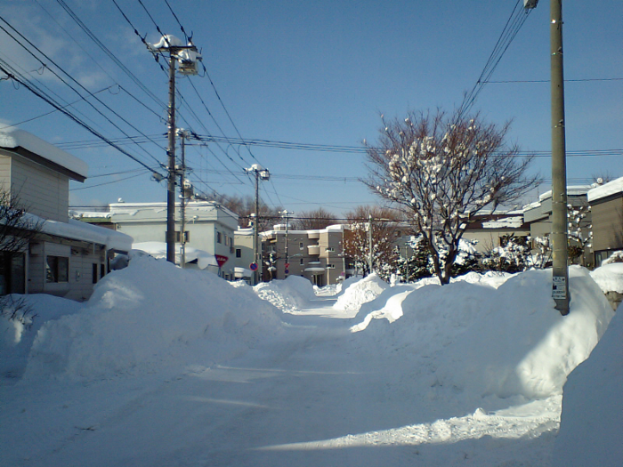 札幌冬景色